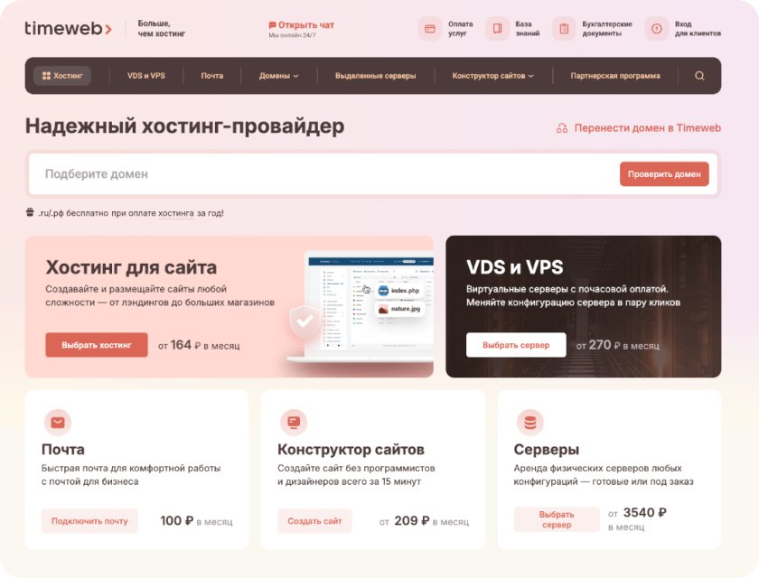 Timeweb project preview